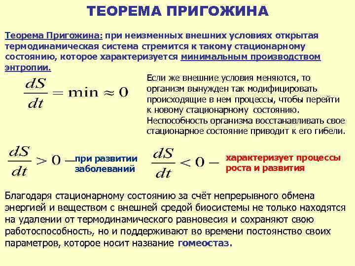 Биологическая термодинамика