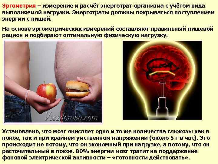 Эргометрия – измерение и расчёт энерготрат организма с учётом вида выполняемой нагрузки. Энерготраты должны