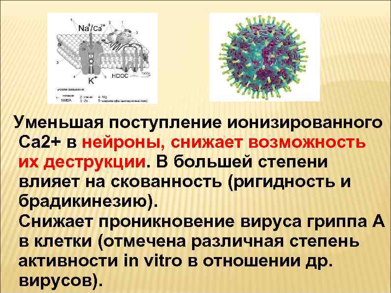  Уменьшая поступление ионизированного Ca 2+ в нейроны, снижает возможность их деструкции. В большей