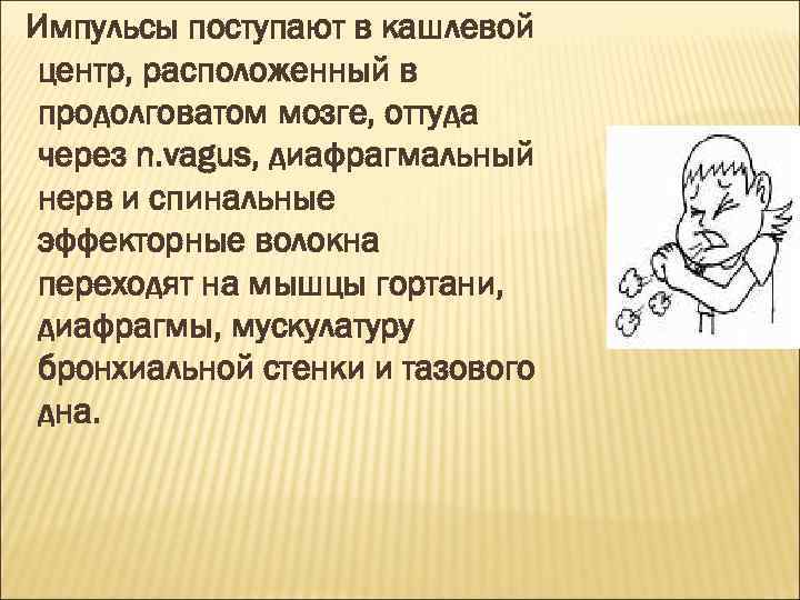 Импульсы поступают в кашлевой центр, расположенный в продолговатом мозге, оттуда через n. vagus, диафрагмальный