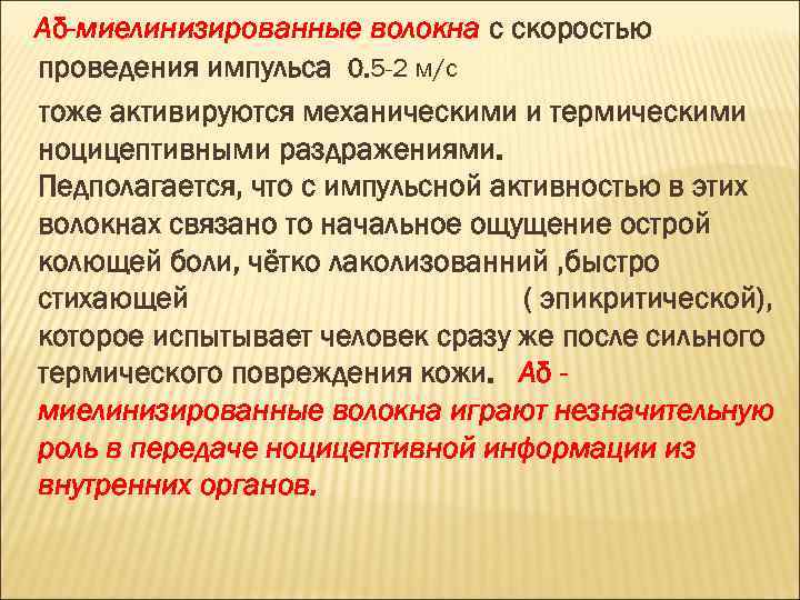 Аδ-миелинизированные волокна с скоростью проведения импульса 0. 5 -2 м/с тоже активируются механическими и