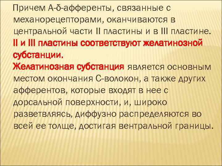 Причем А-δ-афференты, связанные с механорецепторами, оканчиваются в центральной части II пластины и в III