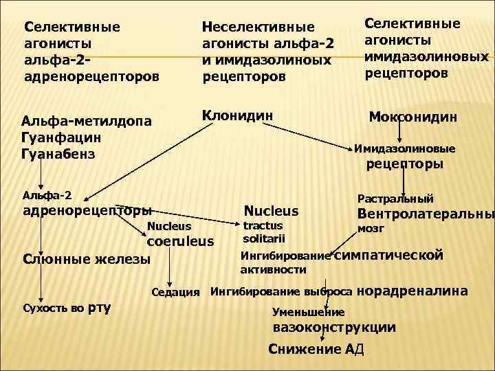 Селективные агонисты альфа-2 адренорецепторов Неселективные агонисты альфа-2 и имидазолиноых рецепторов Селективные агонисты имидазолиновых рецепторов