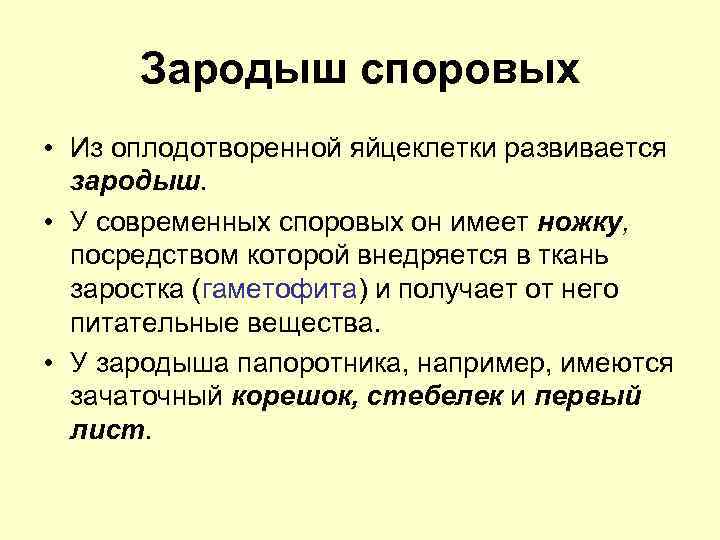 Зародыш споровых • Из оплодотворенной яйцеклетки развивается зародыш. • У современных споровых он имеет