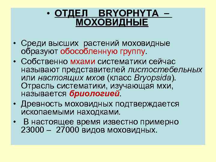  • ОТДЕЛ BRYOPHYTA МОХОВИДНЫЕ • Среди высших растений моховидные образуют обособленную группу. •