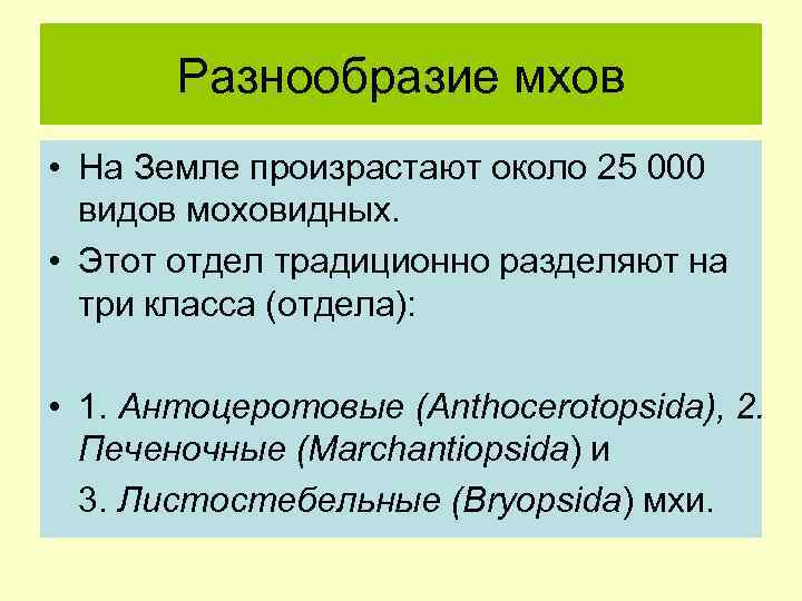 Разнообразие мхов • На Земле произрастают около 25 000 видов моховидных. • Этот отдел