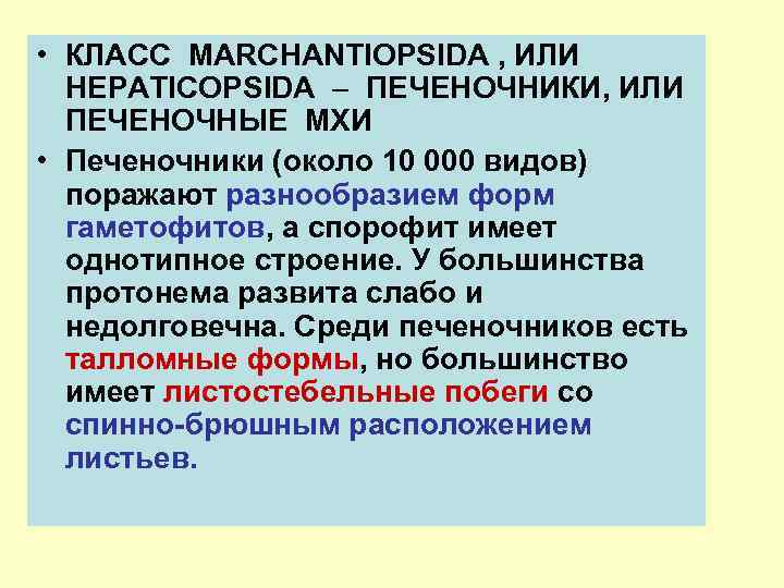  • КЛАСС MARCHANTIOPSIDA , ИЛИ HEPATICOPSIDA ПЕЧЕНОЧНИКИ, ИЛИ ПЕЧЕНОЧНЫЕ МХИ • Печеночники (около