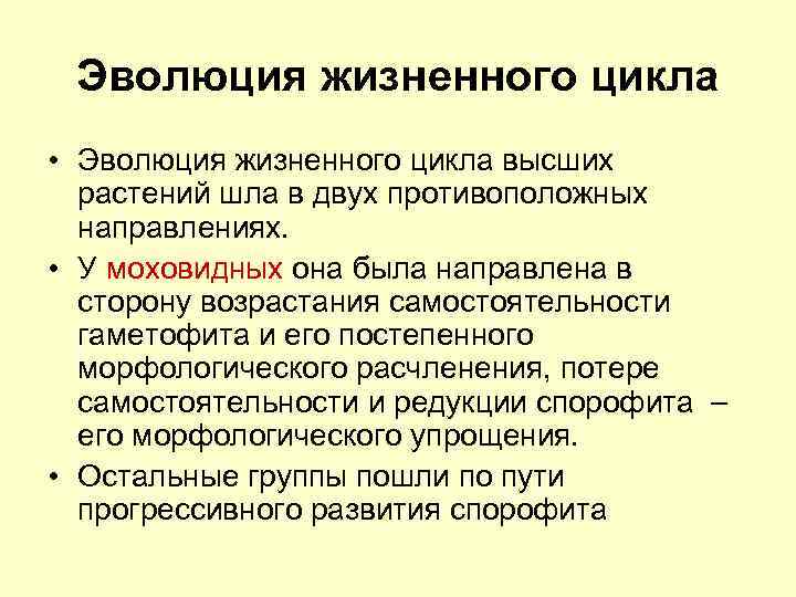Эволюция жизненного цикла • Эволюция жизненного цикла высших растений шла в двух противоположных направлениях.