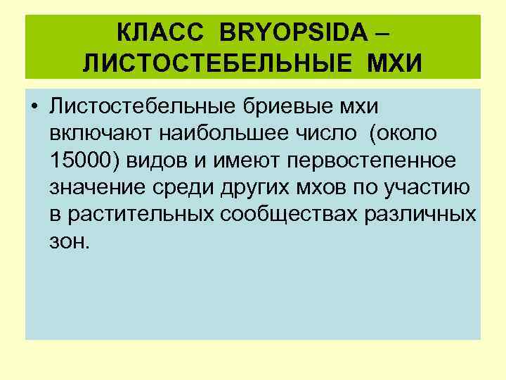 КЛАСС BRYOPSIDA ЛИСТОСТЕБЕЛЬНЫЕ МХИ • Листостебельные бриевые мхи включают наибольшее число (около 15000) видов