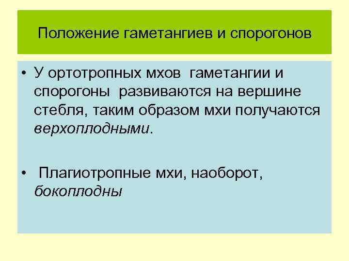Положение гаметангиев и спорогонов • У ортотропных мхов гаметангии и спорогоны развиваются на вершине