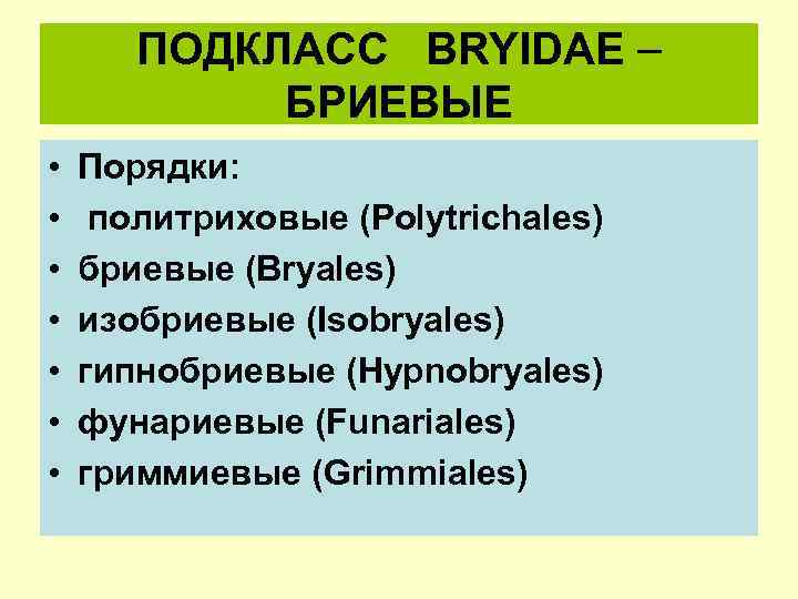 ПОДКЛАСС BRYIDAE БРИЕВЫЕ • • Порядки: политриховые (Polytrichales) бриевые (Bryales) изобриевые (Isobryales) гипнобриевые (Hypnobryales)