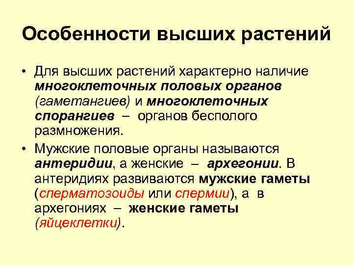 Особенности высших растений • Для высших растений характерно наличие многоклеточных половых органов (гаметангиев) и