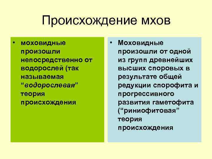 Происхождение мхов • моховидные произошли непосредственно от водорослей (так называемая “водорослевая” теория происхождения •