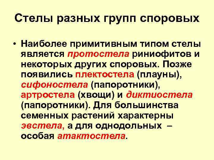 Стелы разных групп споровых • Наиболее примитивным типом стелы является протостела риниофитов и некоторых