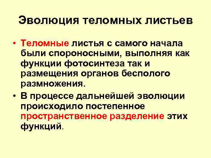Эволюция теломных листьев • Теломные листья с самого начала были спороносными, выполняя как функции