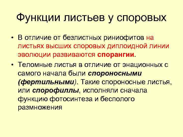 Функции листьев у споровых • В отличие от безлистных риниофитов на листьях высших споровых