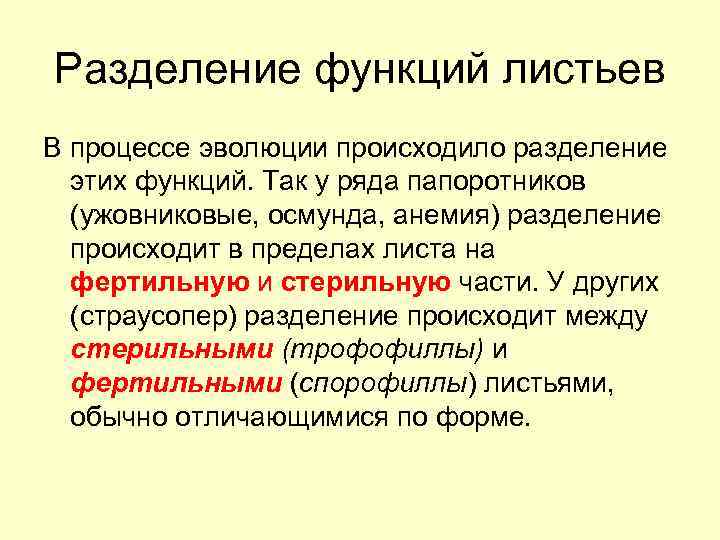 Разделение функций листьев В процессе эволюции происходило разделение этих функций. Так у ряда папоротников