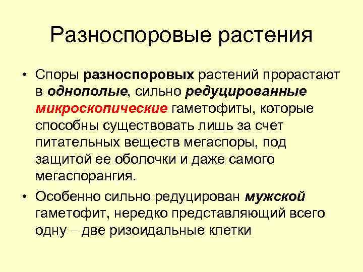 Разноспоровые растения • Споры разноспоровых растений прорастают в однополые, сильно редуцированные микроскопические гаметофиты, которые