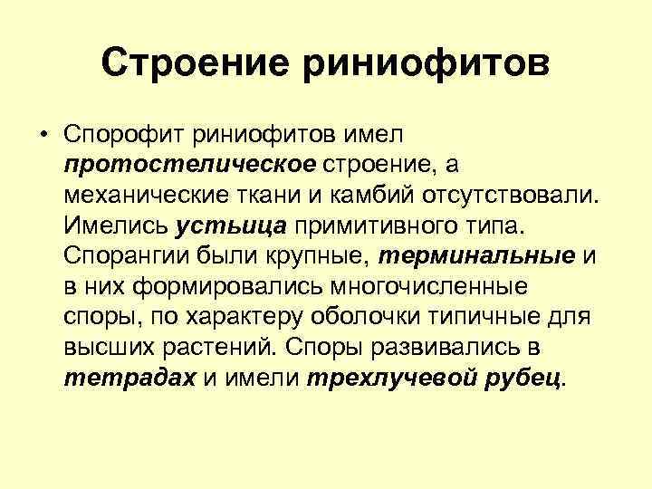 Строение риниофитов • Спорофит риниофитов имел протостелическое строение, а механические ткани и камбий отсутствовали.