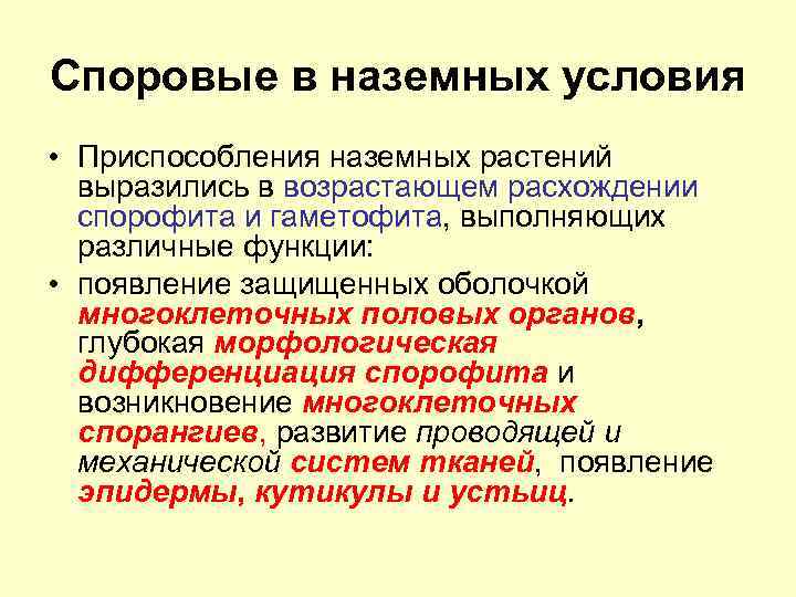 Споровые в наземных условия • Приспособления наземных растений выразились в возрастающем расхождении спорофита и