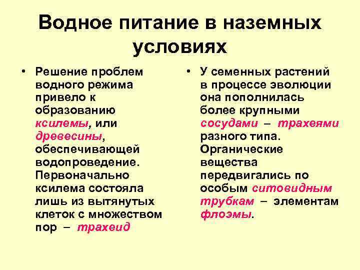Водное питание в наземных условиях • Решение проблем водного режима привело к образованию ксилемы,