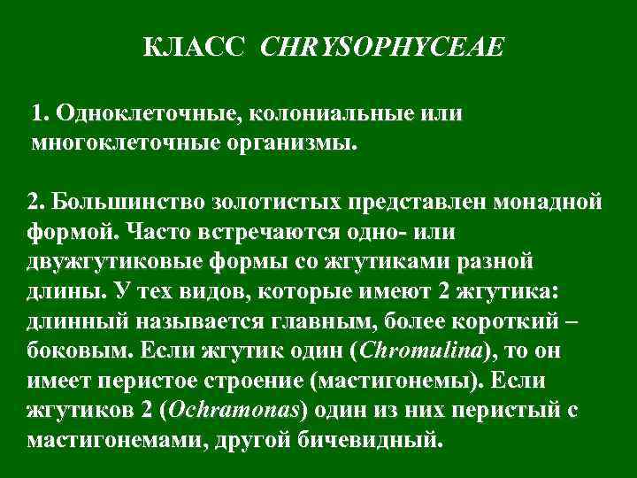 КЛАСС CHRYSOPHYCEAE 1. Одноклеточные, колониальные или многоклеточные организмы. 2. Большинство золотистых представлен монадной формой.