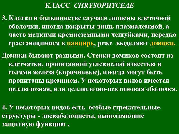 КЛАСС CHRYSOPHYCEAE 3. Клетки в большинстве случаев лишены клеточной оболочки, иногда покрыты лишь плазмалеммой,