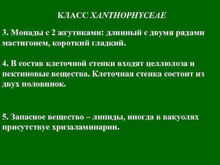 КЛАСС XANTHOPHYCEAE 3. Монады с 2 жгутиками: длинный с двумя рядами мастигонем, короткий гладкий.