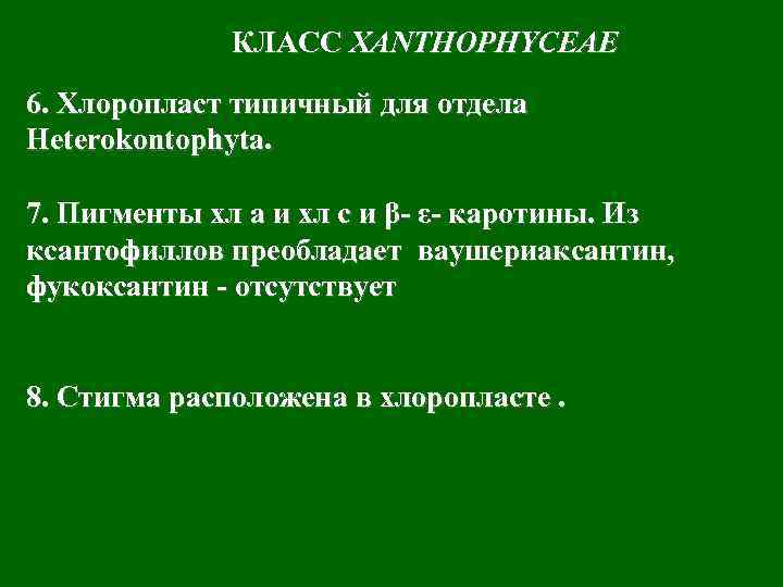 КЛАСС XANTHOPHYCEAE 6. Хлоропласт типичный для отдела Heterokontophyta. 7. Пигменты хл а и хл