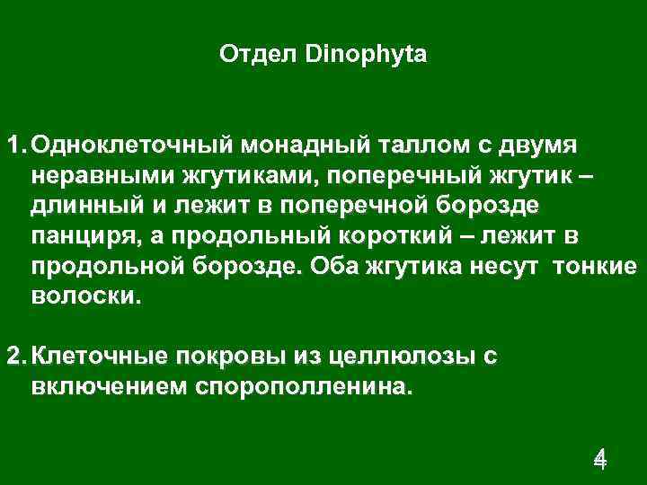 Отдел Dinophyta 1. Одноклеточный монадный таллом с двумя неравными жгутиками, поперечный жгутик – длинный