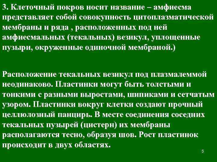 3. Клеточный покров носит название – амфиесма представляет собой совокупность цитоплазматической мембраны и ряда