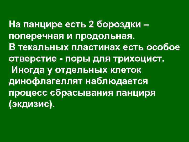 На панцире есть 2 бороздки – поперечная и продольная. В текальных пластинах есть особое