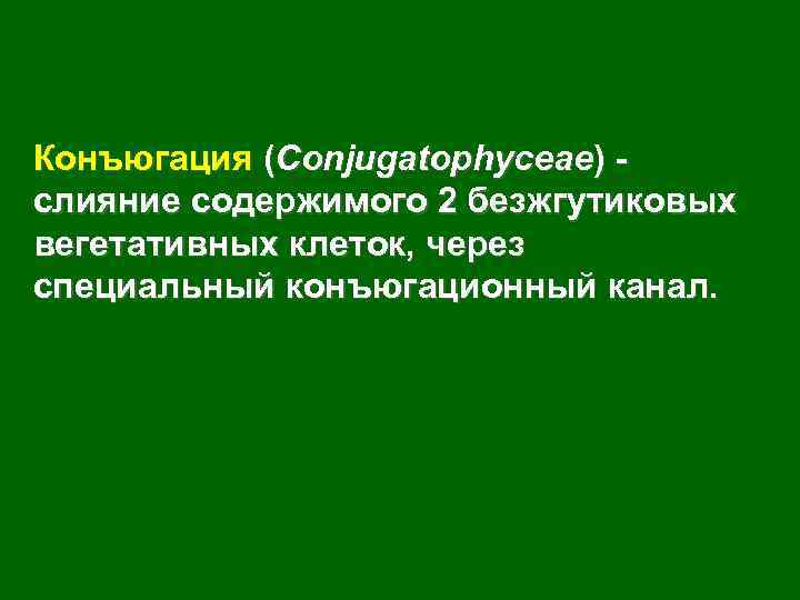 Конъюгация (Conjugatophyceae) слияние содержимого 2 безжгутиковых вегетативных клеток, через специальный конъюгационный канал. 