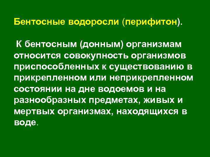 Бентосные водоросли (перифитон). К бентосным (донным) организмам относится совокупность организмов приспособленных к существованию в
