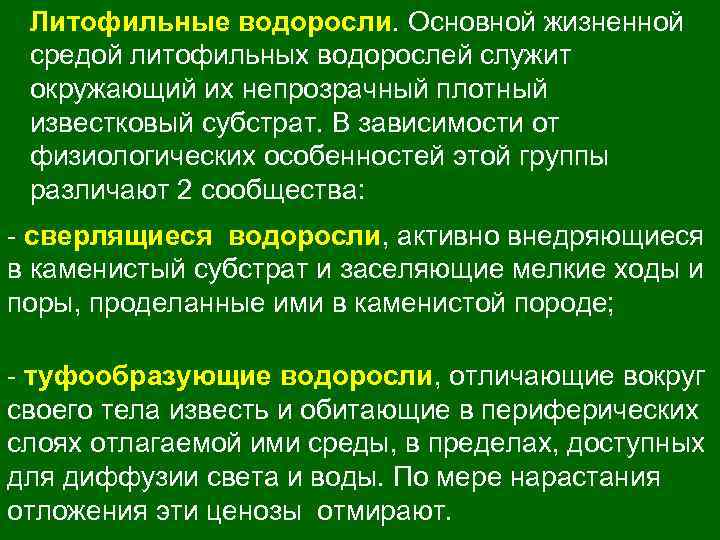Литофильные водоросли. Основной жизненной средой литофильных водорослей служит окружающий их непрозрачный плотный известковый субстрат.