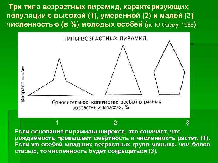 Типы половозрастных пирамид