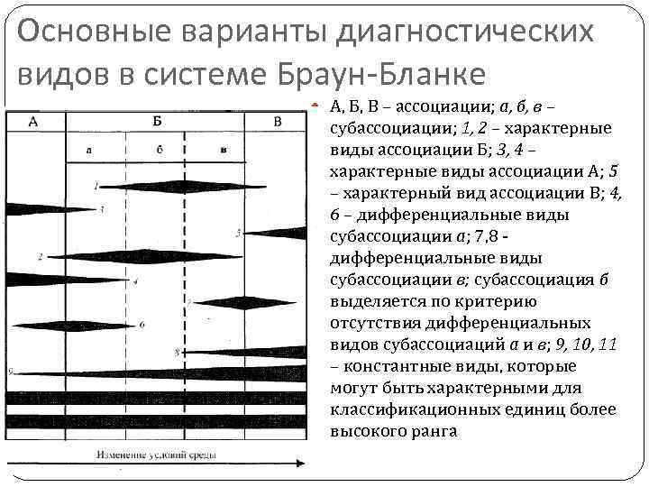 Система брауна. Классификация по Браун бланке. Браун бланке классификация растительности. Балльная шкала Браун-бланке. Шкала обилия Браун-бланке.