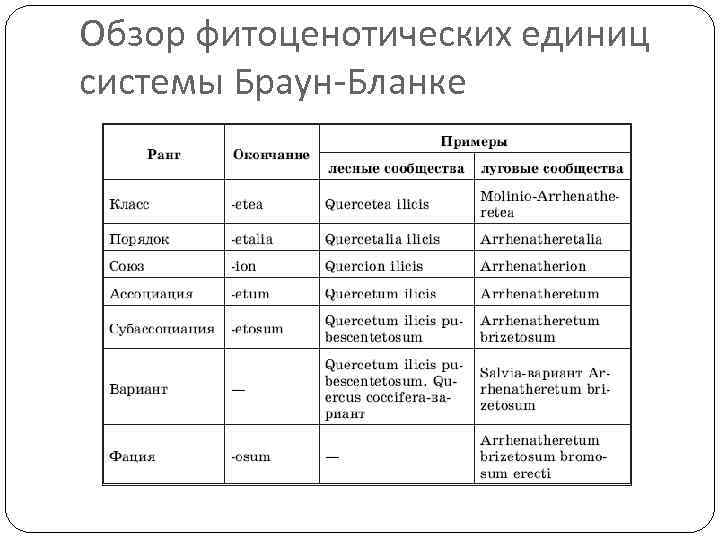 Обзор фитоценотических единиц системы Браун-Бланке 