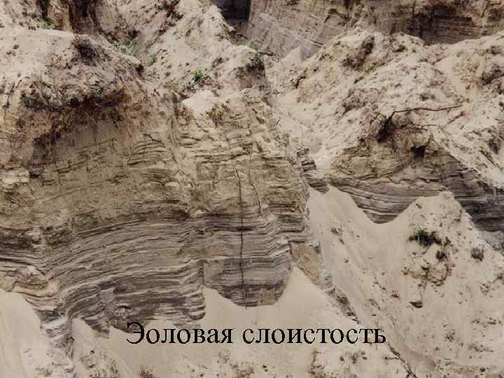 Эоловая слоистость 