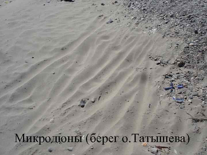 Микродюны (берег о. Татышева) 