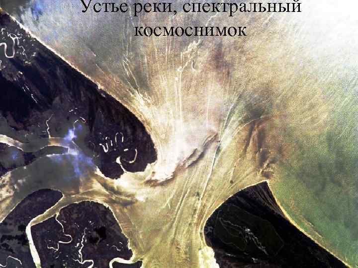 Устье реки, спектральный космоснимок 