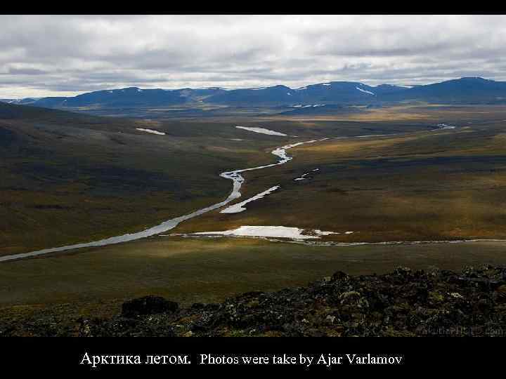 Арктика летом. Photos were take by Ajar Varlamov 