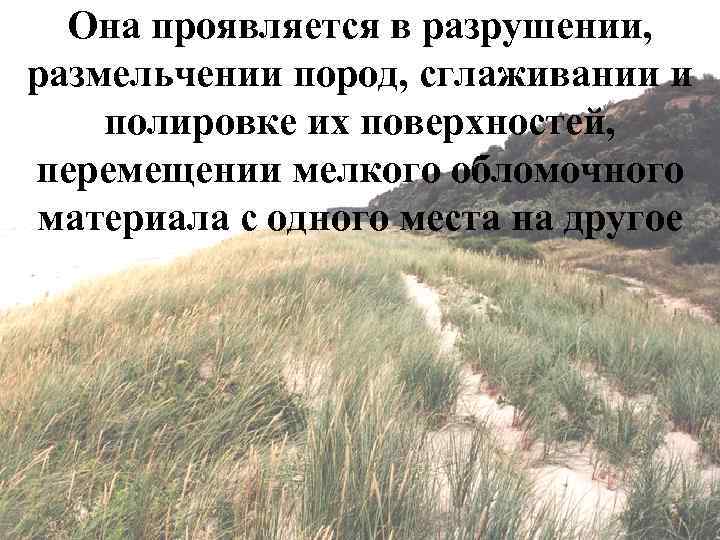 Она проявляется в разрушении, размельчении пород, сглаживании и полировке их поверхностей, перемещении мелкого обломочного