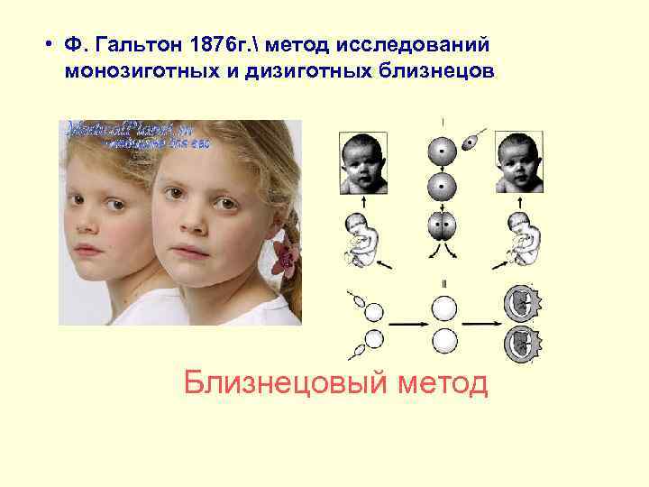  • Ф. Гальтон 1876 г.  метод исследований монозиготных и дизиготных близнецов Близнецовый