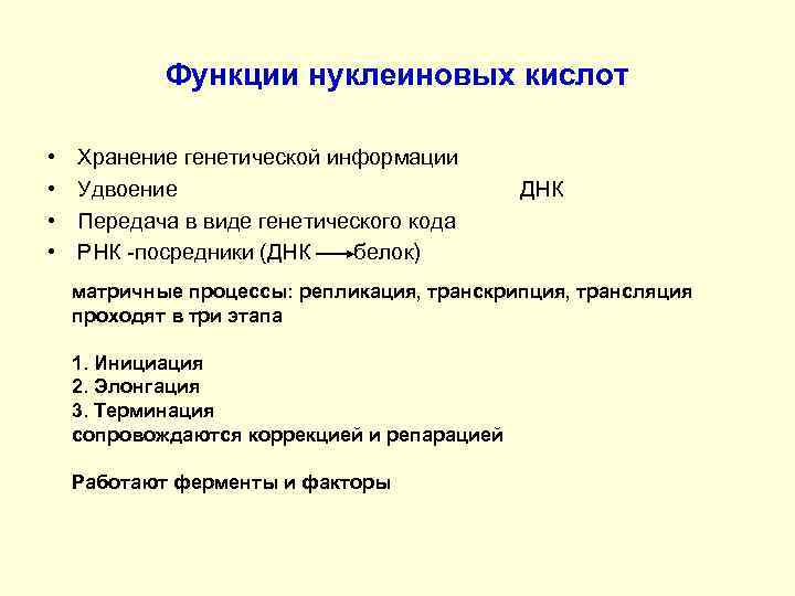 Функции нуклеиновых кислот • • Хранение генетической информации Удвоение Передача в виде генетического кода