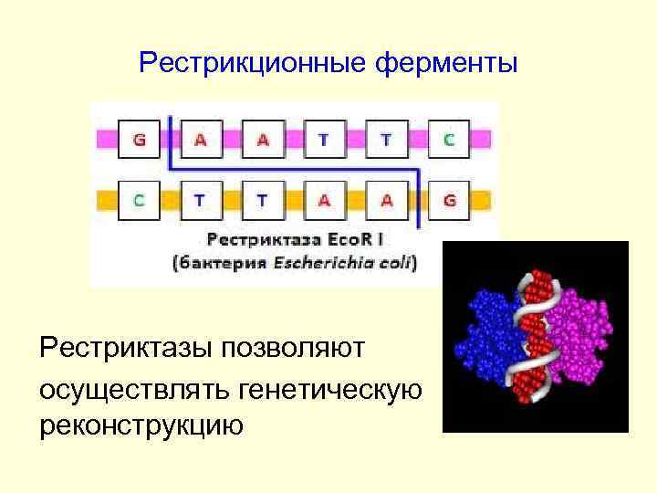 Карта рестрикционная это