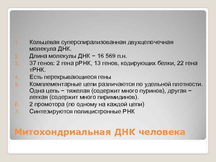 1. 2. 3. 4. 5. 6. 7. Кольцевая суперспирализованная двухцепочечная молекула ДНК. Длина молекулы