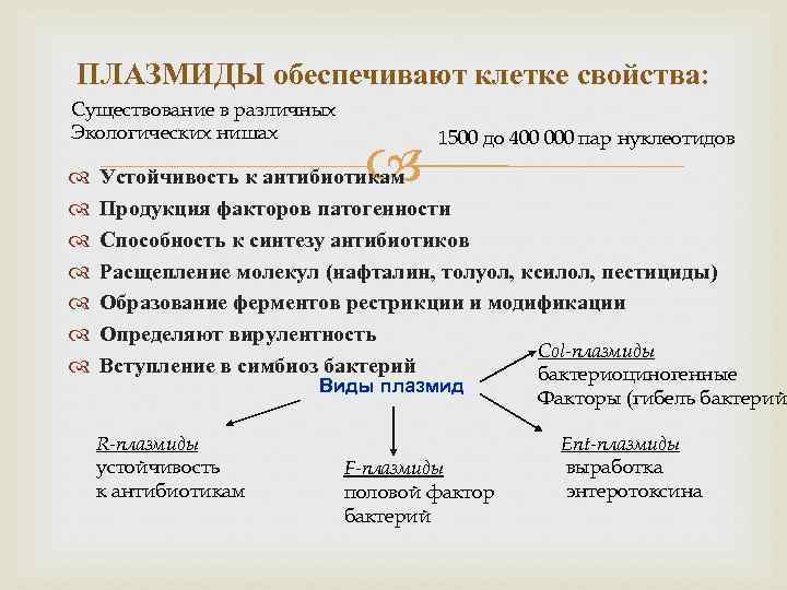 ПЛАЗМИДЫ обеспечивают клетке свойства: Существование в различных Экологических нишах 1500 до 400 000 пар