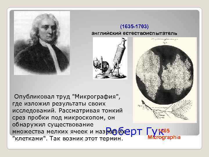 (1635 -1703) английский естествоиспытатель Опубликовал труд 