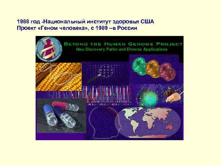1988 год -Национальный институт здоровья США Проект «Геном человека» , с 1989 –в России